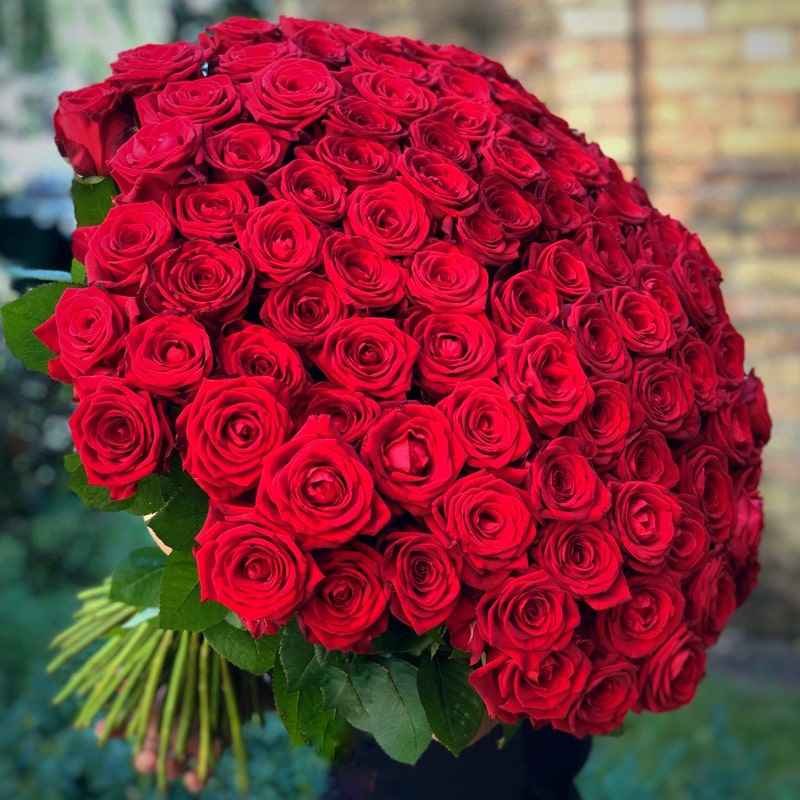 99999_https://api.nasan.az/products/flower_shop/3ca1309e014c422c8ff657872836e3e1_20260122194027.jpg
