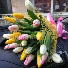 99999_https://api.nasan.az/products/flower_shop/45d898a5cf1a4bbd97700bfad823dc61_20251105074333.jpg