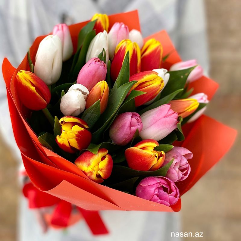 99999_https://api.nasan.az/products/flower_shop/902740be637549519ca35ab9e767378e_20250318223548.jpg